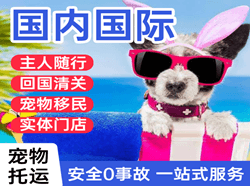 洛阳北郊航空快递国际宠物托运 【国